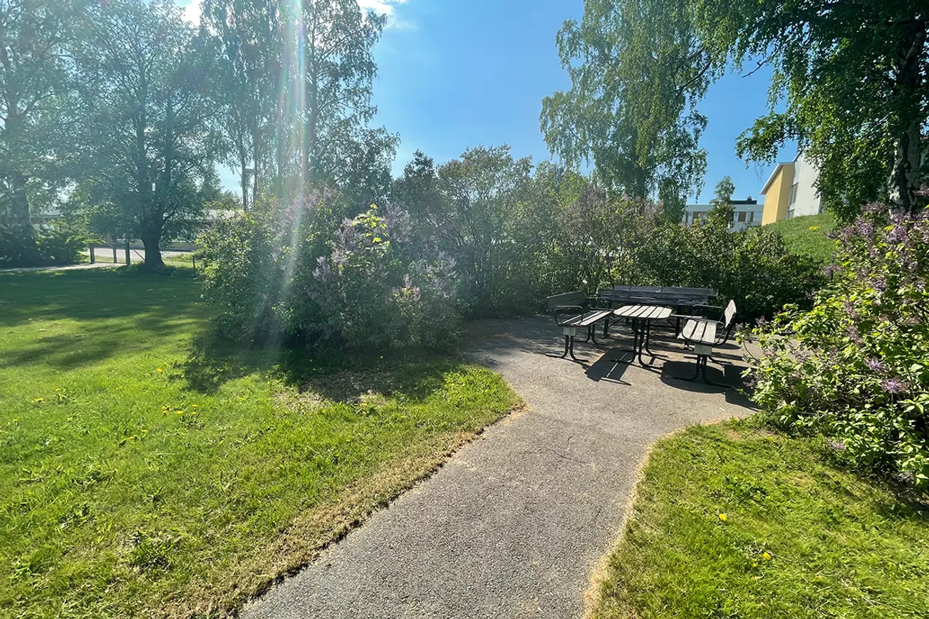 En park med picknickbord och en asfalterad stig.