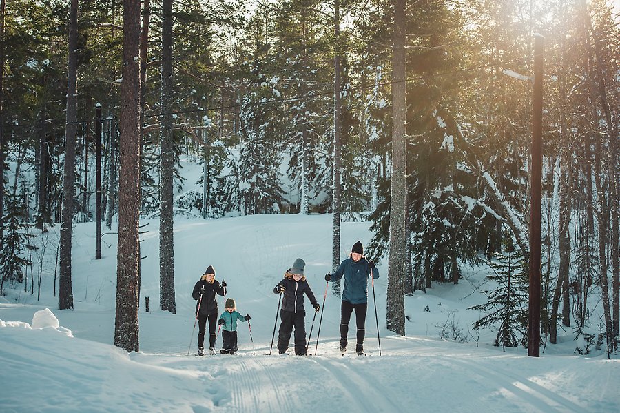 En familj är utomhus och åker längdskidor. Det är vit snö överallt. Solen skiner igenom alla tallar och granar bredvid de preparerade skidspåren.